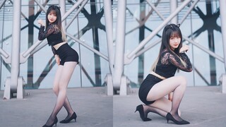 【竖屏一镜到底】渐变猫咪超近距离贴贴｜猫步轻俏（Like a Cat）-AOA