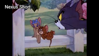 Tom & Jerry (Ep 23.3) Springtime For Thomas (phần 3) #TomandJerry