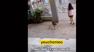 những khoảnh khắc hài hước 2😂