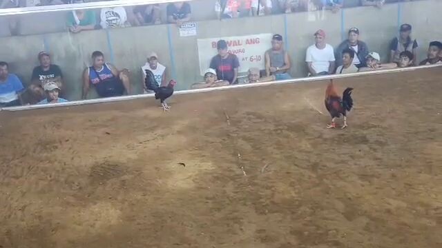 tabla si badang, kinarate sa ere
