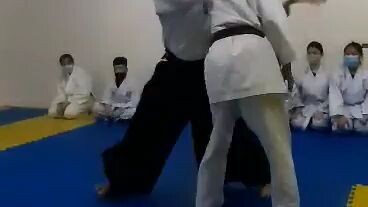 Aikido Iriminage