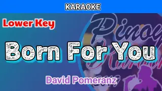 Born For You by David Pomeranz (Karaoke : Lower Key)