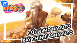 Cửu Vĩ Hồ Naruto|Đây chính là Naruto！！！！_2