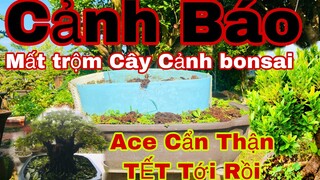 Tết tới rồi anh em cẩn thận | anh em cẩn thận tết tới rồi