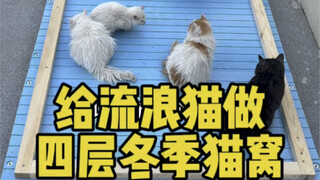 给流浪猫们做“四层冬季猫窝”之第一层猫猫大堂