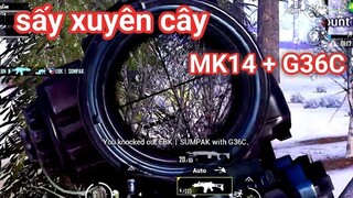 PUBG Mobile - Team Cực Mạnh Hủy Diệt Map Vikendi | MK14 + G36C Sấy Cực Căng Mọi Vật Cản