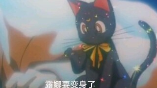 [เซเลอร์มูน] Luna cat เมื่อแปลงร่างแล้วหน้าตาเป็นอย่างไร?