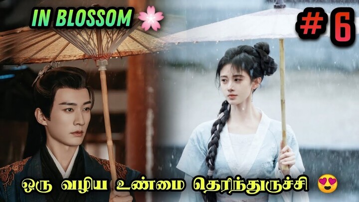 In Blossom🌸 EP: 06 Chinese Drama in Tamil | Drama Tamil Review