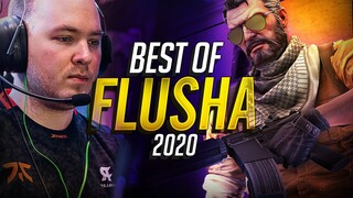 Señor Vac IS SMART! BEST OF flusha! (2020 Highlights)