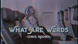 What Are Words - Chris Medina (Lyrics & Vietsub)