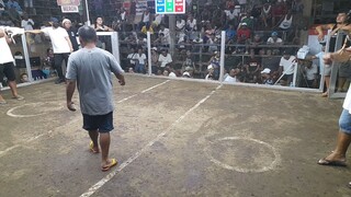 ELV GF WIN