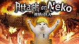 Attack on Cat | Shingeki no Neko