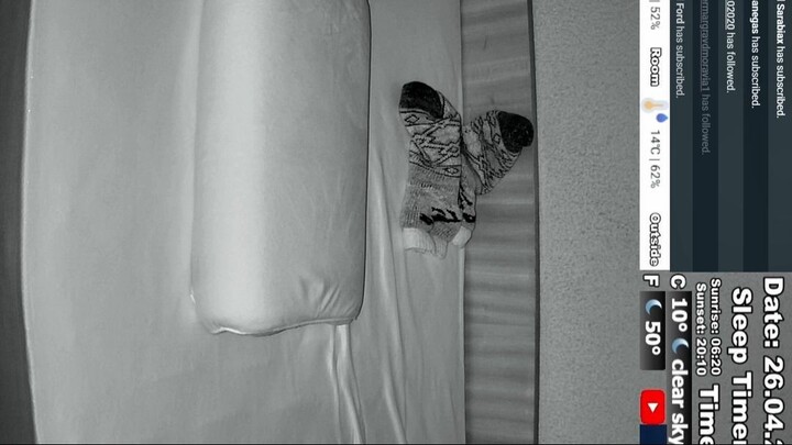 Sleep Stream 26.04.2025