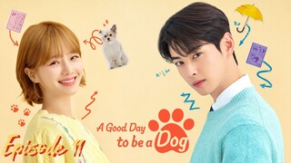 EP.11 - A Good Day to Be a Dog 2023 [EngSub]