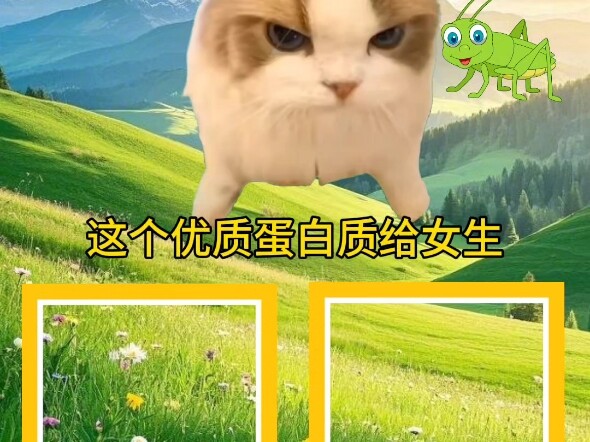 【爱玩星球动画的初见】新作上线，快来看看！