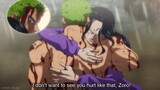 Zoro Scares All Straw Hats by Revealing His Scars - One Piece