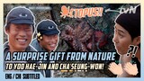 🐙 A Surprise Gift From Nature! | | 3 Meals A Day - Fishing Village 5 (ENG/CHI SUB) [#tvNDigital]
