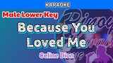 Because You Loved Me by Celine Dion (Karaoke : Male Lower Key)