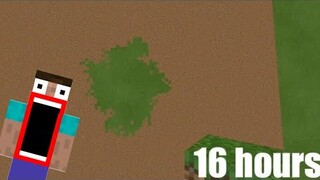 (SATISFYING) Minecraft Dirt blocks to Grass block Time lapse