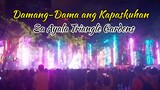 FESTIVAL OF LIGHTS SA AYALA DAMANG-DAMA ANG KAPASKUHAN