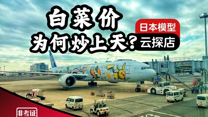 模型白菜价为何炒上天？日本模型云探店 迪叔VLOG