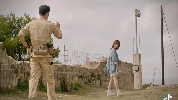 Descendant of the sun
