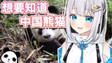 【因为想了解中国熊猫而被观众忽悠的日本熊猫】