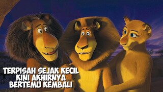 Kisah Singa Yang Terpisah Dengan Keluarganya Sejak Kecil | Alur Cerita Film MADAGASCAR 2 (2008)