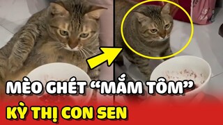 Hoàng Thượng KỲ THỊ con Sen chỉ vì 1 chén MẮM TÔM 😂 | Yêu Lu