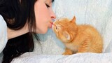 Warm Your Heart!  Cats May Love Their Owners as Much as