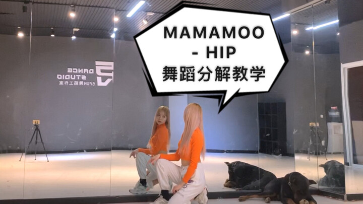 【PP】MAMAMOO-HIP dance mirror decomposition teaching