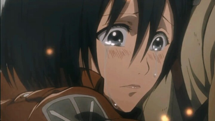 Mikasa: Wow, don’t make people cry anymore.
