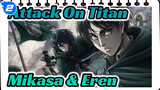 Attack On Titan
Mikasa & Eren_2