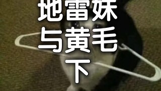 地雷妹爸爸活偶遇黄毛 下