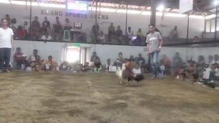 brgy busisi