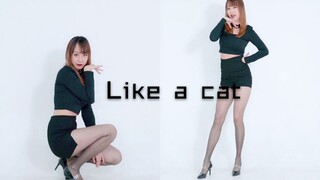 【桦影】猫步轻俏Like a cat❤️性感小野猫上线~