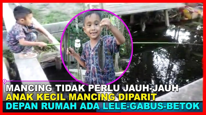 ANAK KECIL MANCING IKAN LELE DAN BETOK ~ GITU TERLETAK LANGSUNG DISAMBAR