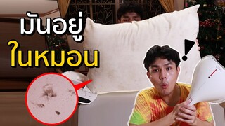 อะไรอยู่ในหมอนที่คุณนอน !?