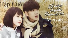 Mười Lăm Năm Chờ Đợi Chim Di Trú - Tập 24 (Tập Cuối) | Vietsub