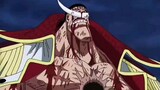 Chính xác thì spoiler One Piece của Oda có gì đáng mong đợi trong nhiều thập kỷ?