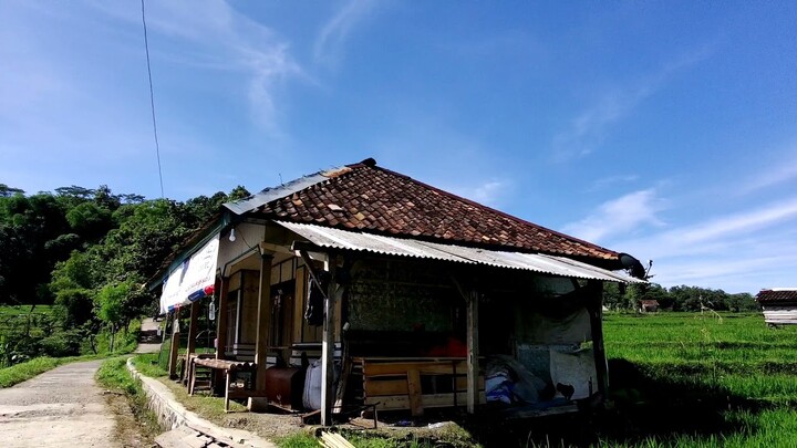 Auto Mau Mudik ‼️ Suana Perkampungan No Filter Full Pesawahan Indah
