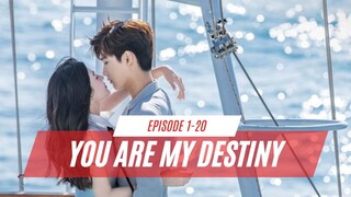 YOU ARE MY DESTINY | EPISODE 1-20 | DISINGKIRKAN USAI MENIKAH DENGAN PRIA TAJIR