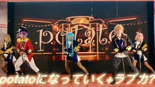 [Polo] โชว์เต้นบนเวที WS คอมมิคสุดแกร่ง! แปลงร่างเป็นมันฝรั่ง + ฉลามครุย [Wonderlands×Showtime] [งาน