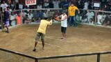 2 cocks derby pawikan gallera.2nd fight win.(champion)