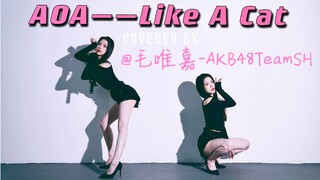 【毛唯嘉】AOA——Like A Cat «猫步轻俏»小猫咪能有什么坏心思呢？～Covered by@毛唯嘉-AKB48TeamSH