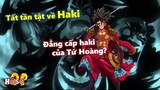 Tất tần tật về Haki! Đẳng cấp haki của Tứ Hoàng?