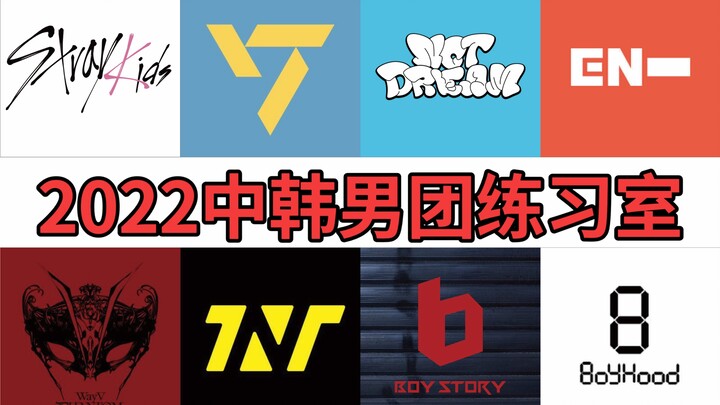 都2023了内娱还差韩娱多少?StrayKids Seventeen 威神V BOYHOOD 时代少年团 BOYSTORY ENHYPEN NCTDREAM