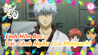 [Linh hồn bạc] Shinpachi mà tôi biết làm sao mà ngầu thế được!!!_A1