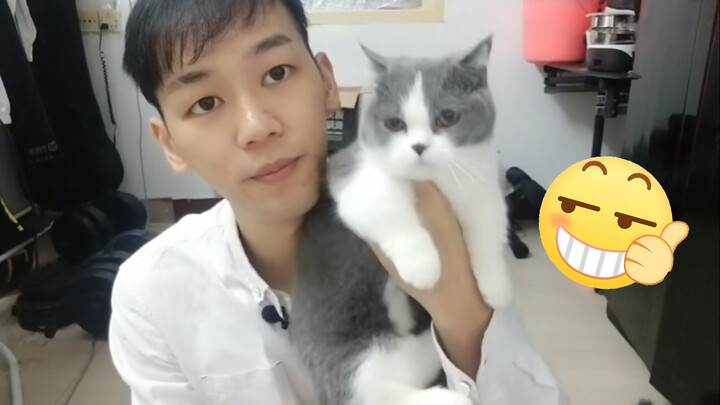 Bagaimana Caranya Memilih Kucing Berperilaku Baik?