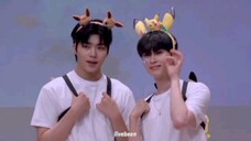 gunbin